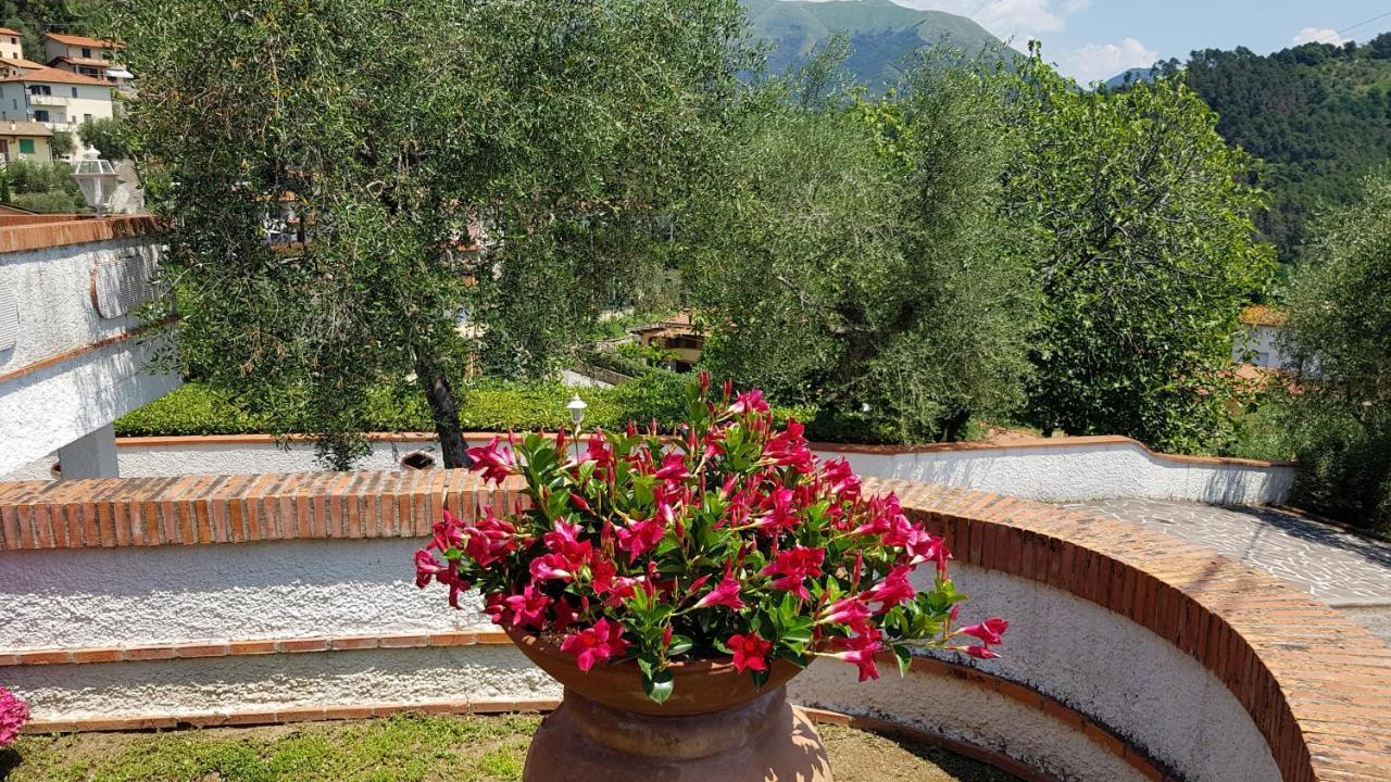Вілла Casa Vittoria Corsanico-Bargecchia Екстер'єр фото