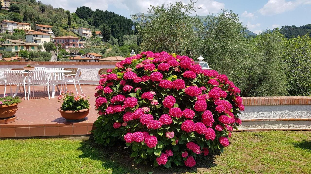 Вілла Casa Vittoria Corsanico-Bargecchia Екстер'єр фото